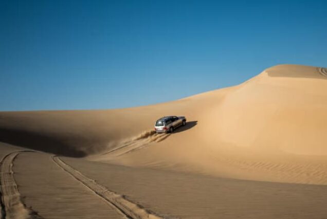 Excursión de 5 días a Alejandría y el desierto de Siwa